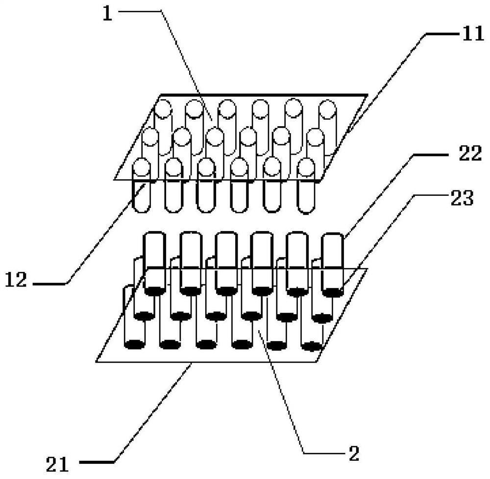 Granulating device for special feed for experimental animals