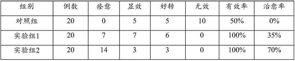 Stem cell composition for preventing and treating diabetic foot and its use, and a stem cell preparation