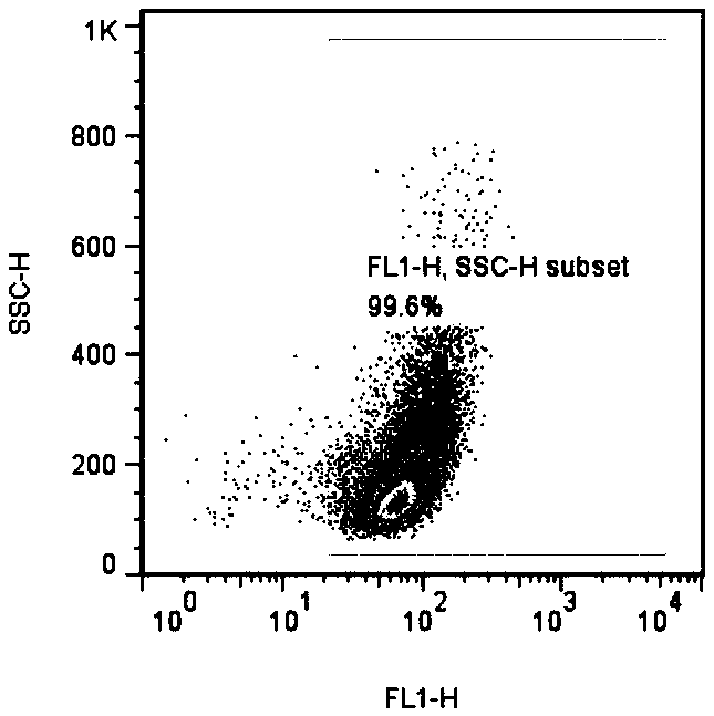 HAFFT1 cell construction method