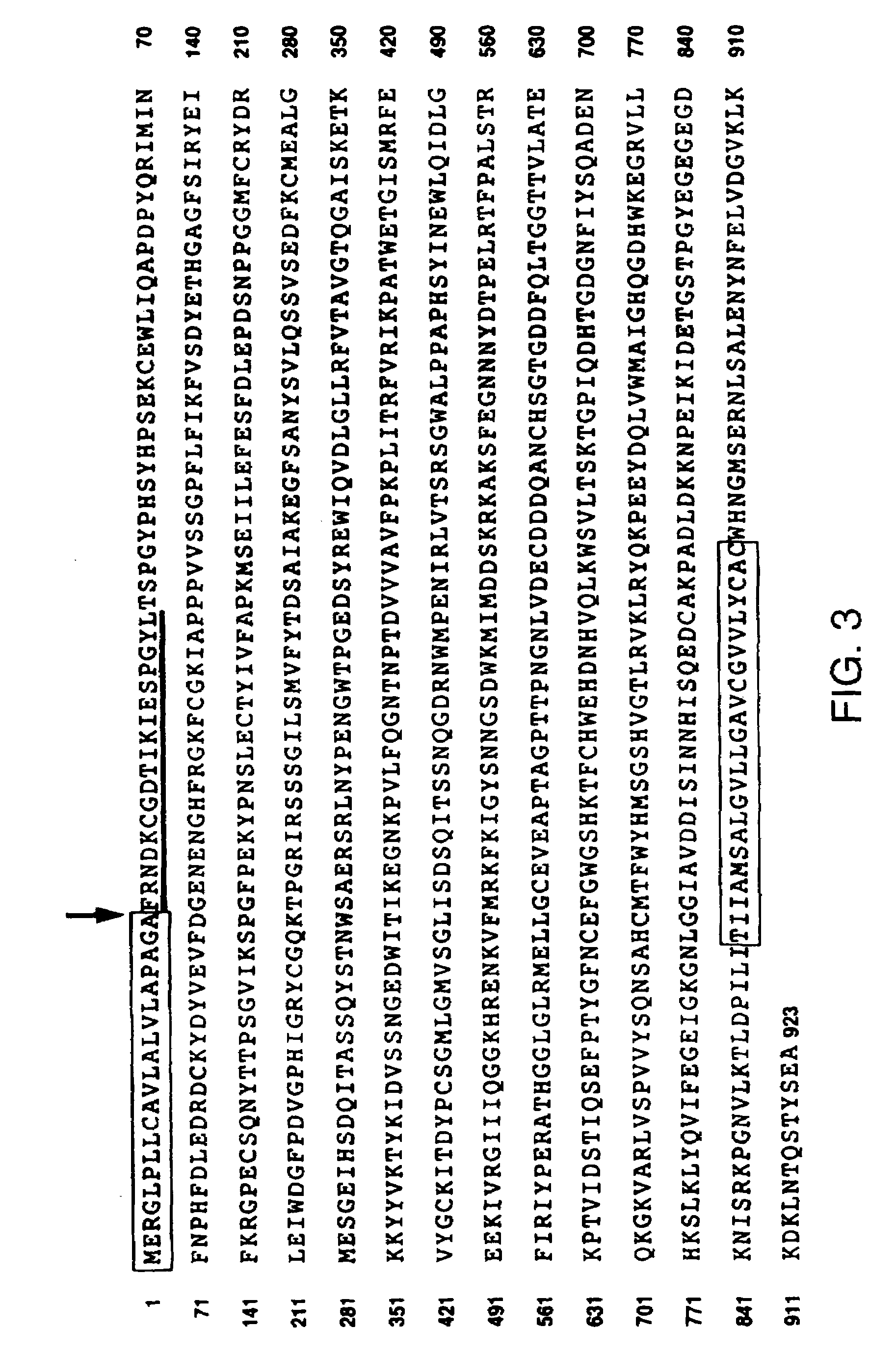 Soluble inhibitors of vascular endothelial growth factor and use thereof