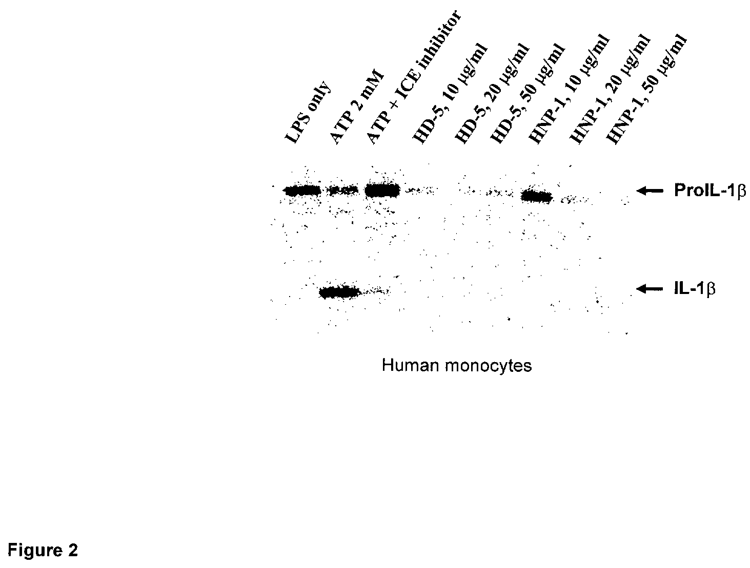 Methods of treating inflammation in mammalian tissues comprising administering human alpha-defensins
