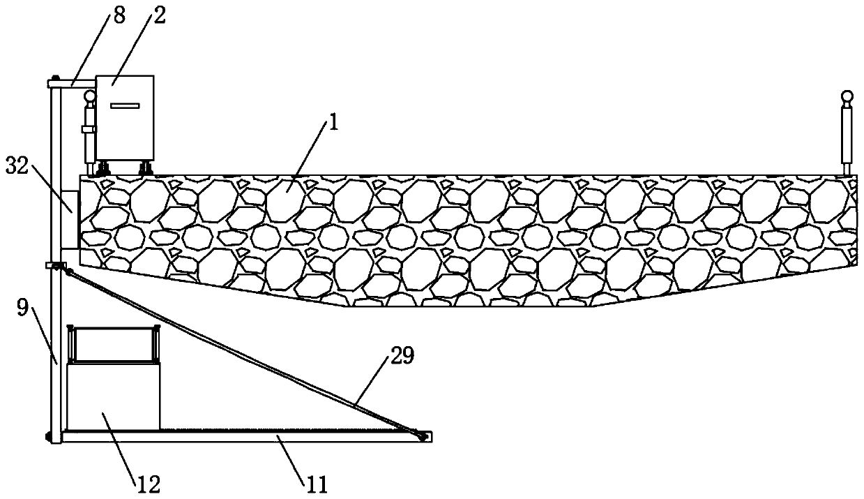 Bridge detection device