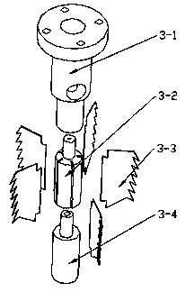 Head and tentacle separating device for squid processing