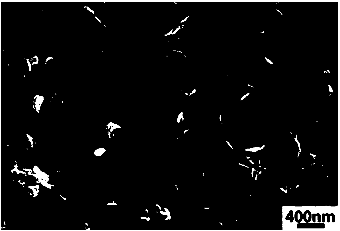 Lanthanide fluoride two-dimensional porous nanosheet as well as preparation method and application thereof