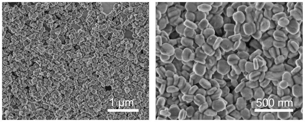 Nanometer flaky MFI molecular sieve and preparation method thereof