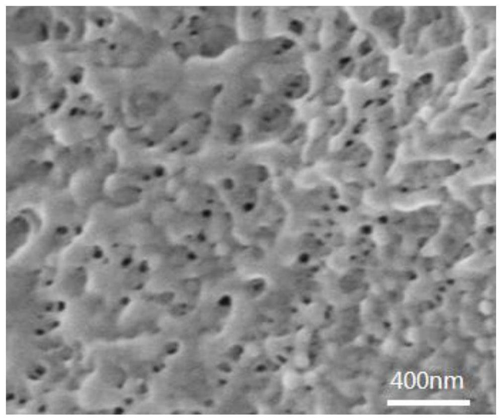 A kind of fluoropolymer flat film and its preparation method