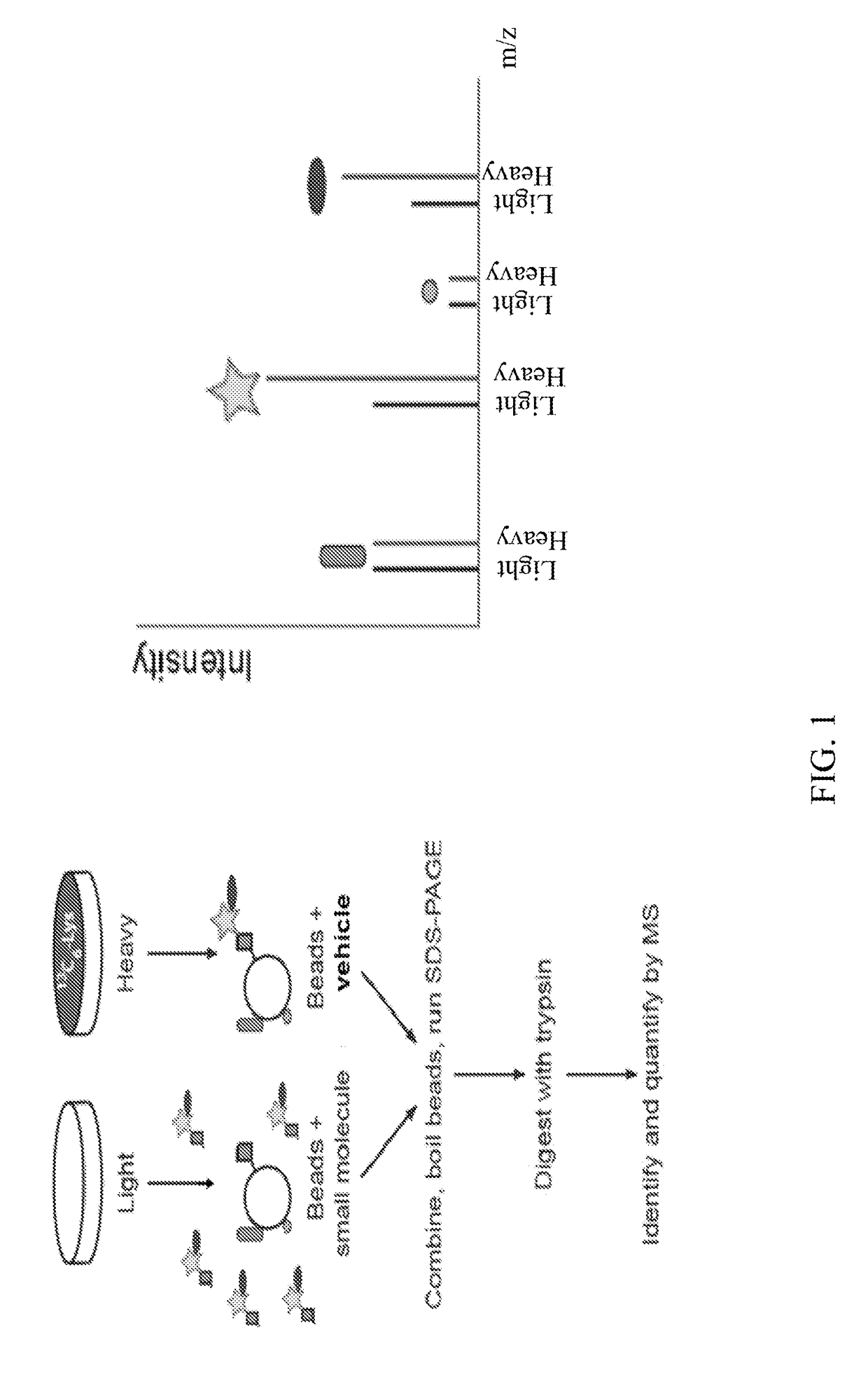 Substituted benzofuranyl and benzoxazolyl compounds and uses thereof