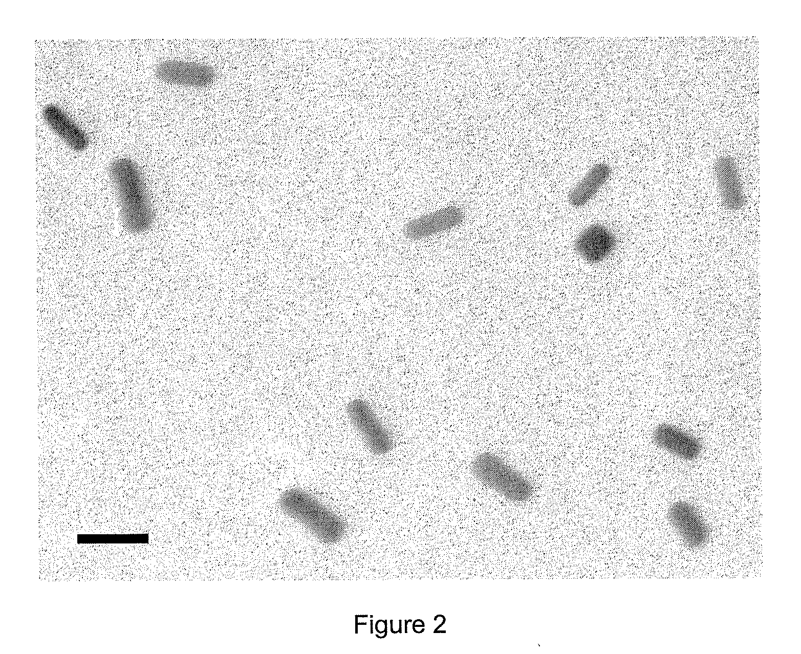 Nanoparticle composition, a device and a method thereof