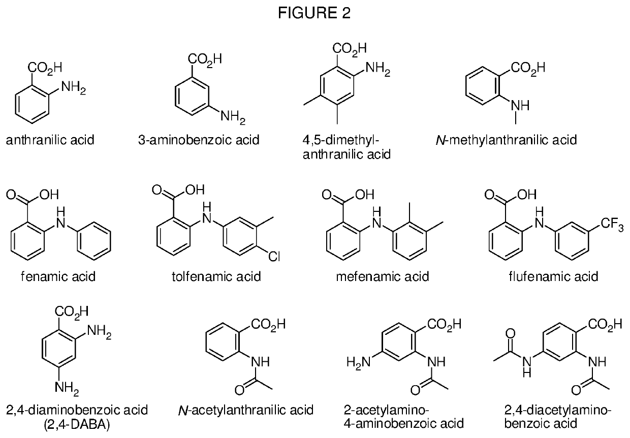 Levorphanol prodrugs and processes for making and using them