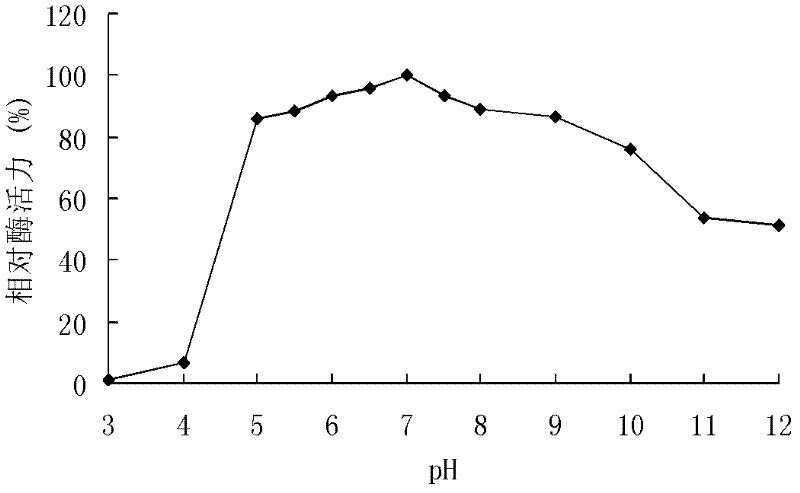 High temperature alkaline xylanase XYN10A, gene thereof and application thereof