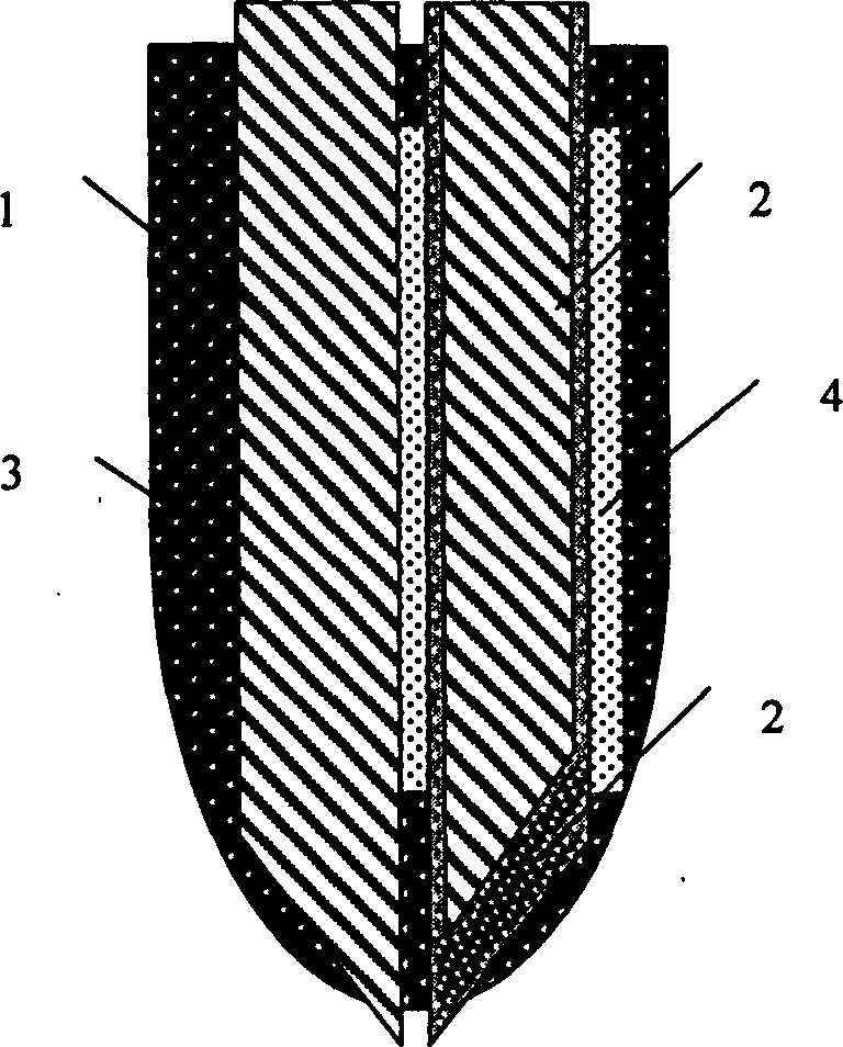 Composite scanning chlorion sensitive micro-probe and preparing process thereof
