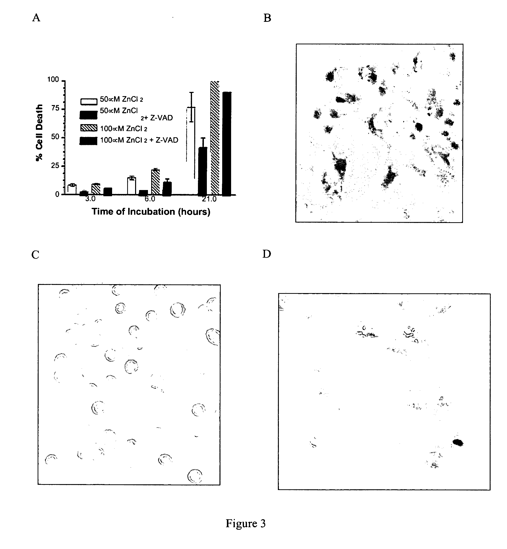 Methods and compositions for selectively killing cells