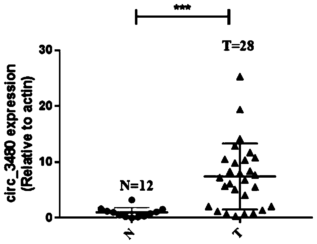 Application of circ_3480 to preparation of treatment preparation for nasopharyngeal carcinoma and treatment preparation