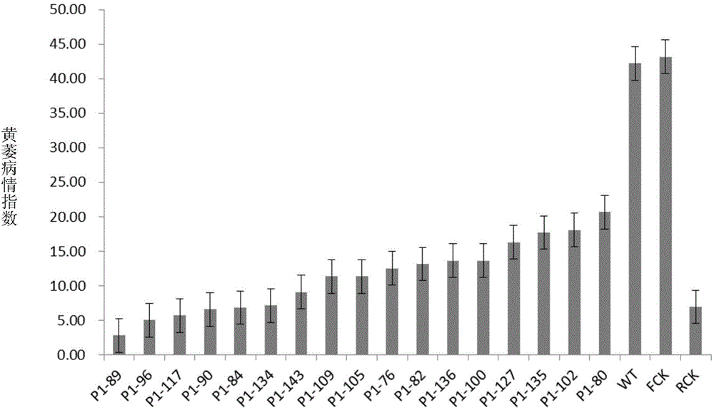 Resistance-related protein and encoding gene thereof, and application of resistance-related protein and encoding gene for regulating and controlling plant disease resistance