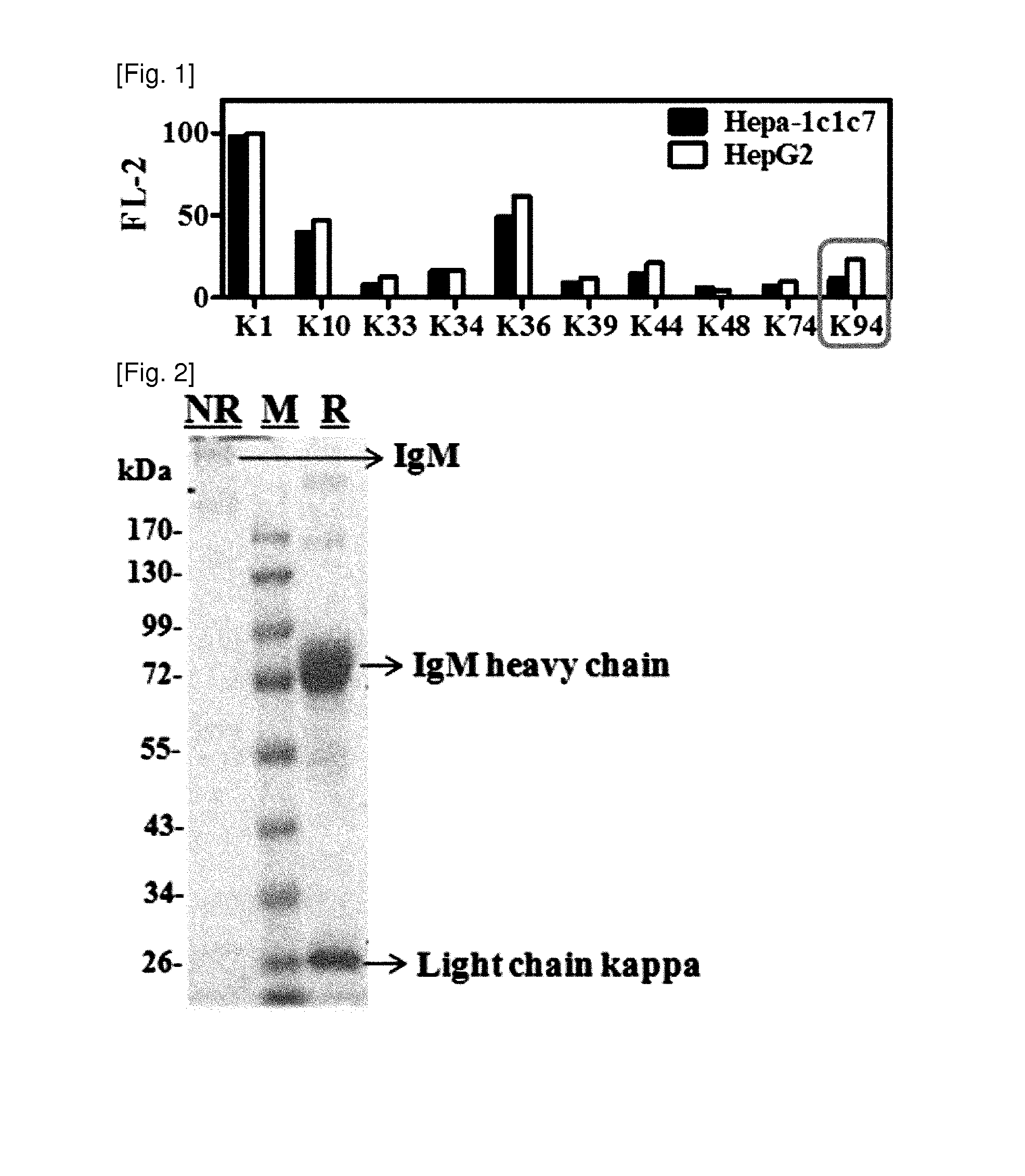 Marker comprising Anti-ck8/18 complex autoantibody and its use for diagnosing cancer