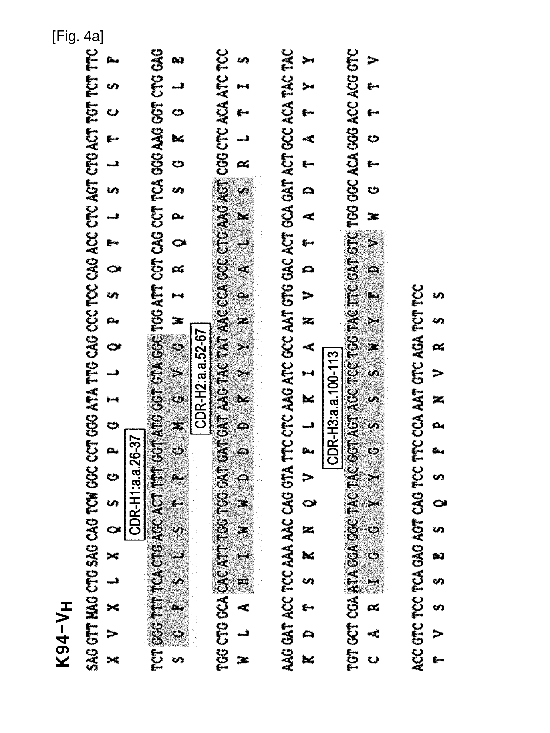 Marker comprising Anti-ck8/18 complex autoantibody and its use for diagnosing cancer