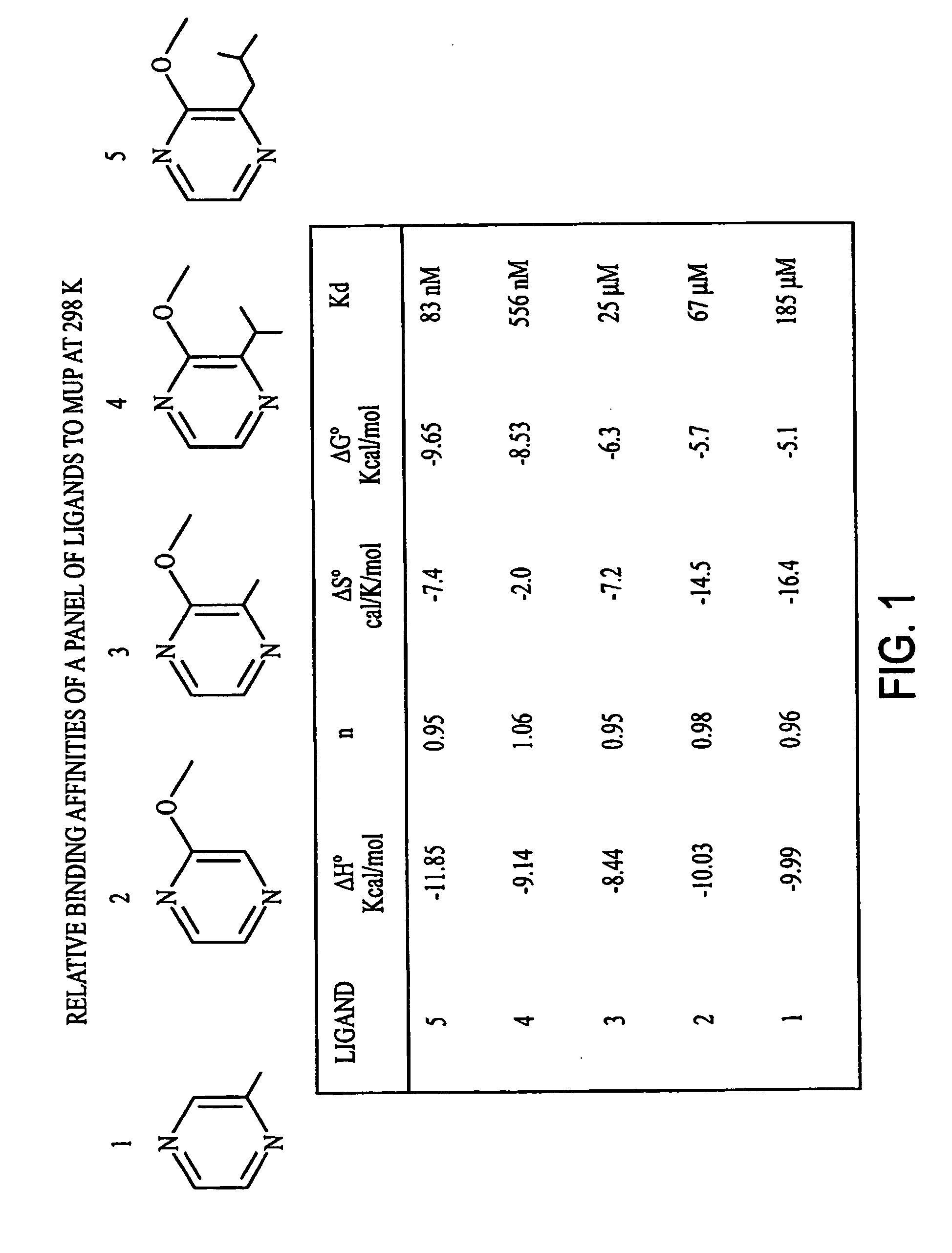 Method for obtaining dynamic and structural data pertaining to proteins and protein/ligand complexes