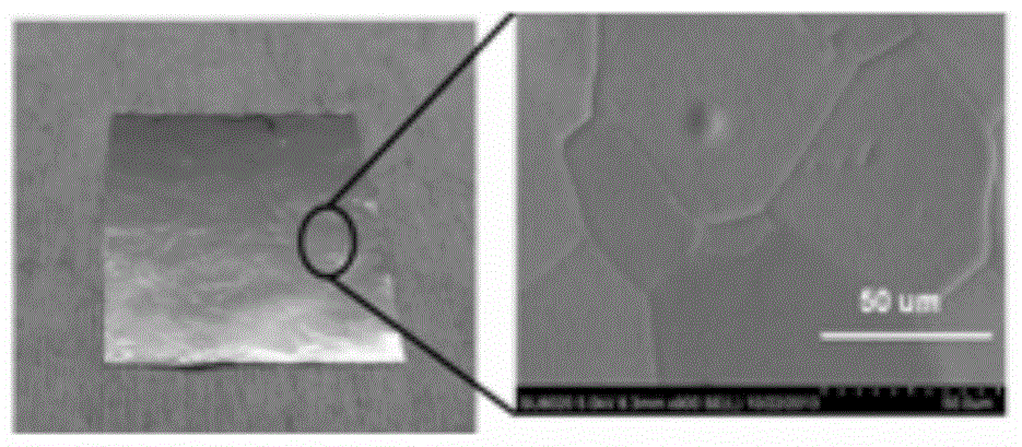 A method for treating the surface of a multi-stage step-down collector CU electrode with graphene