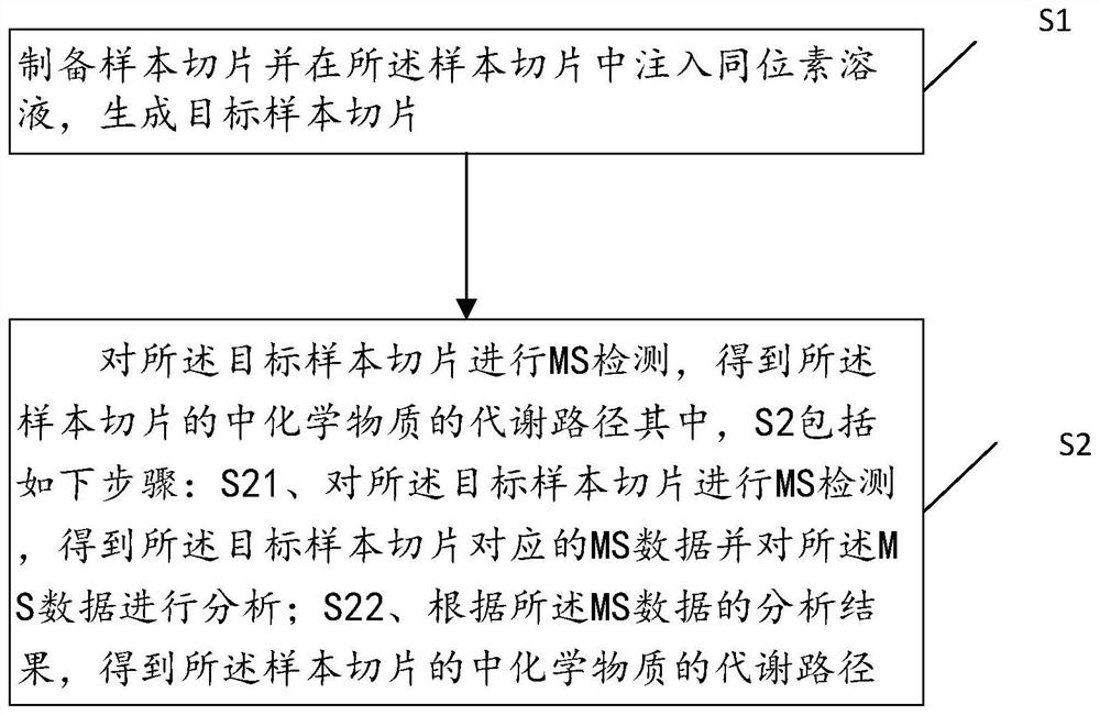 New intracellular biosynthetic path detection method