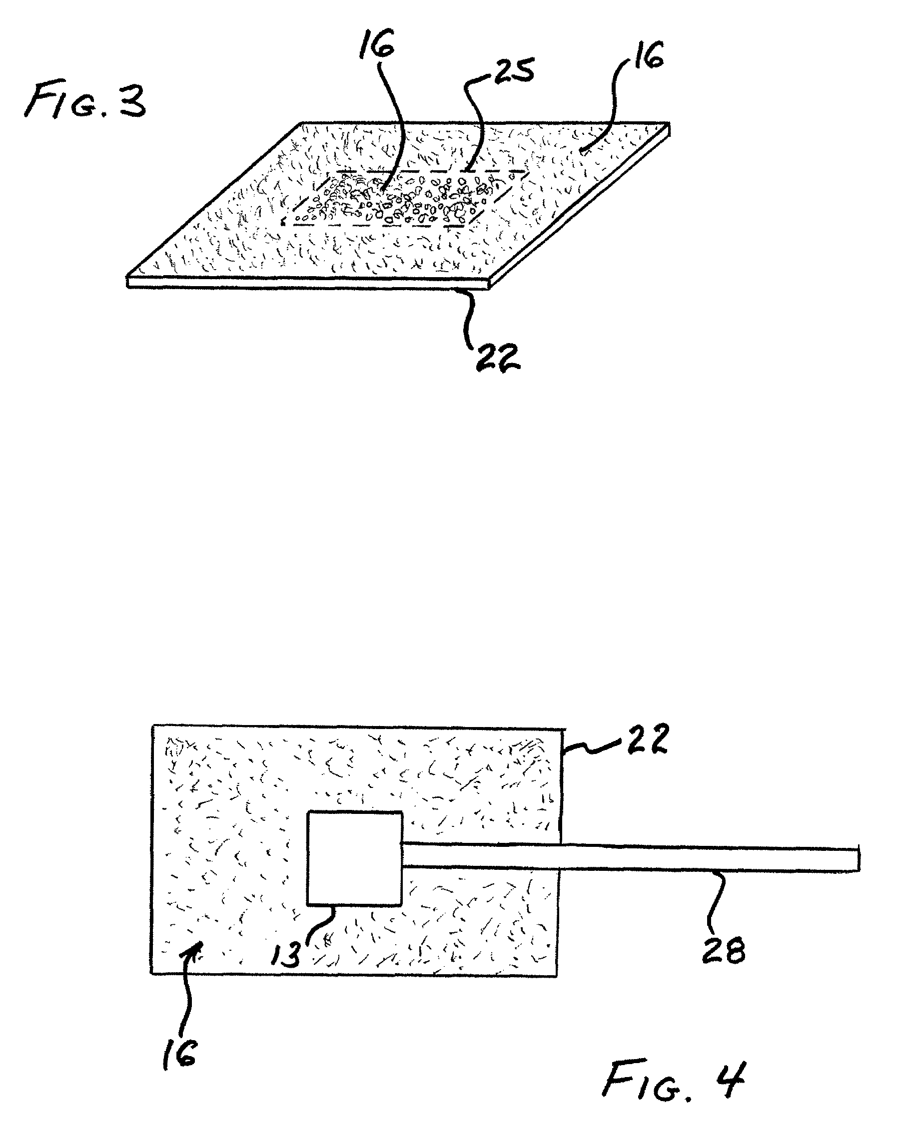 Biometric authentication device and method
