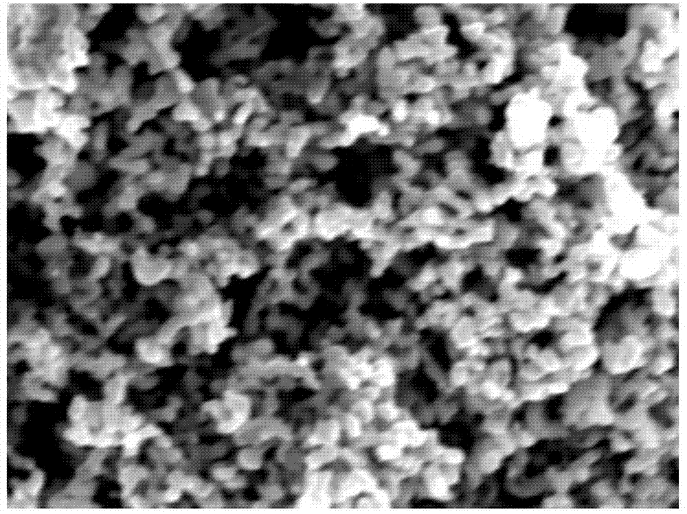 Sol-gel method for preparing lithium titanate