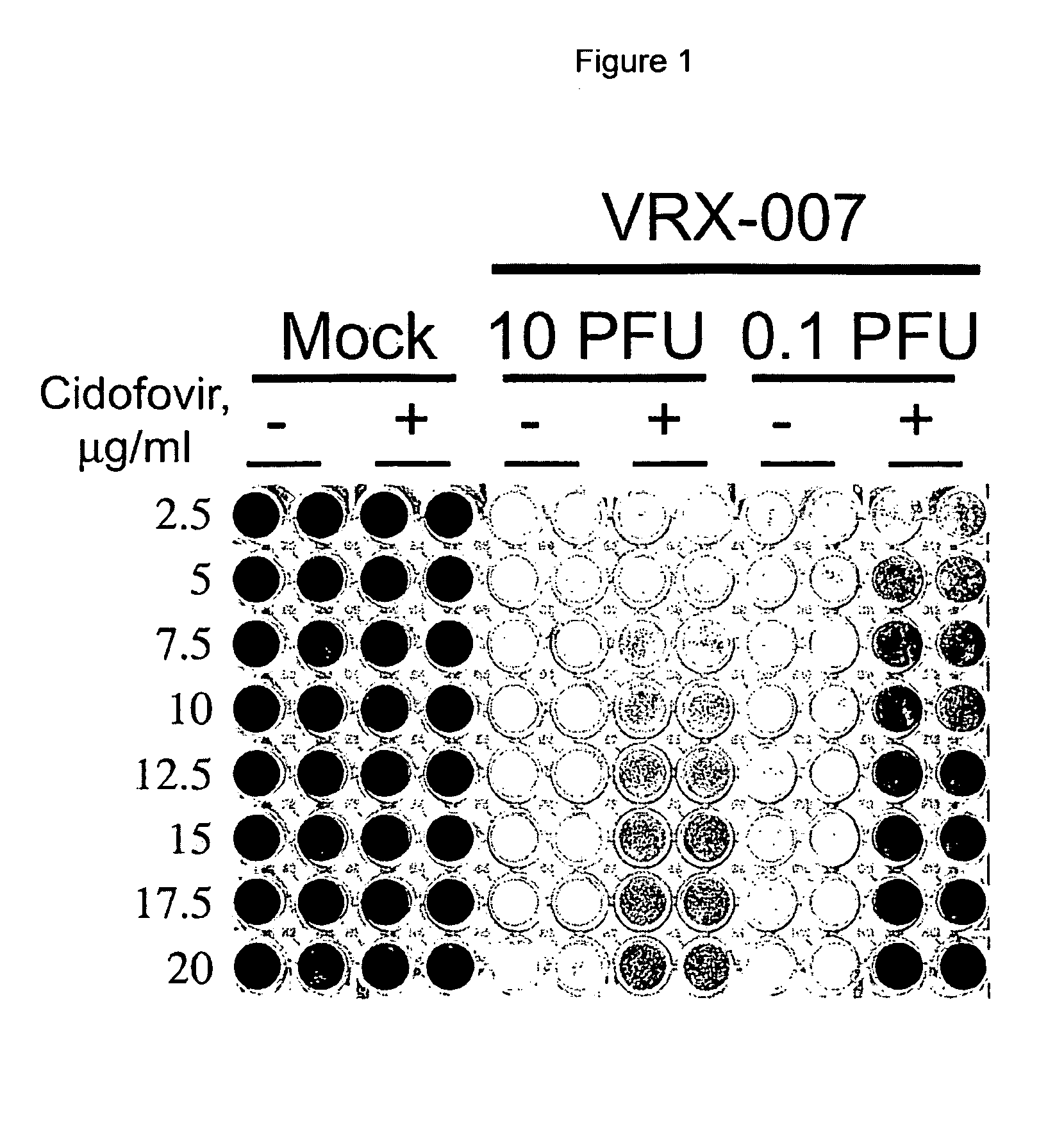 Screening tool for antiviral agents