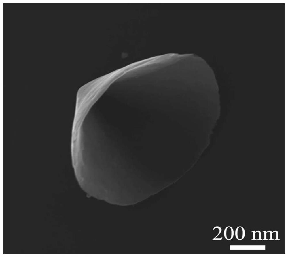 Modified carbon nanocone functionalized needle tip and preparation method thereof