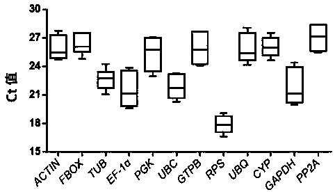 Internal reference gene of cordyceps militaris mycelium under cold stress, and primers, screening method and application of internal reference gene