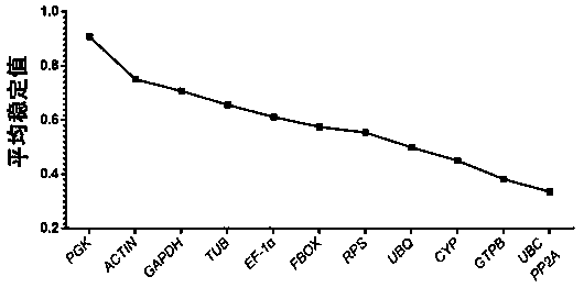 Internal reference gene of cordyceps militaris mycelium under cold stress, and primers, screening method and application of internal reference gene