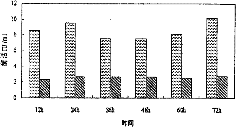 Microbial compound inoculum for production of cellulosic ethanol and preparation method thereof