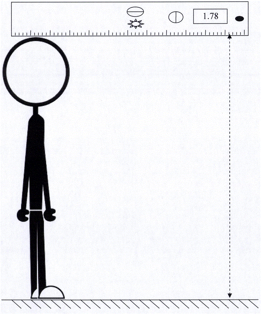 Multifunctional body height measuring ruler