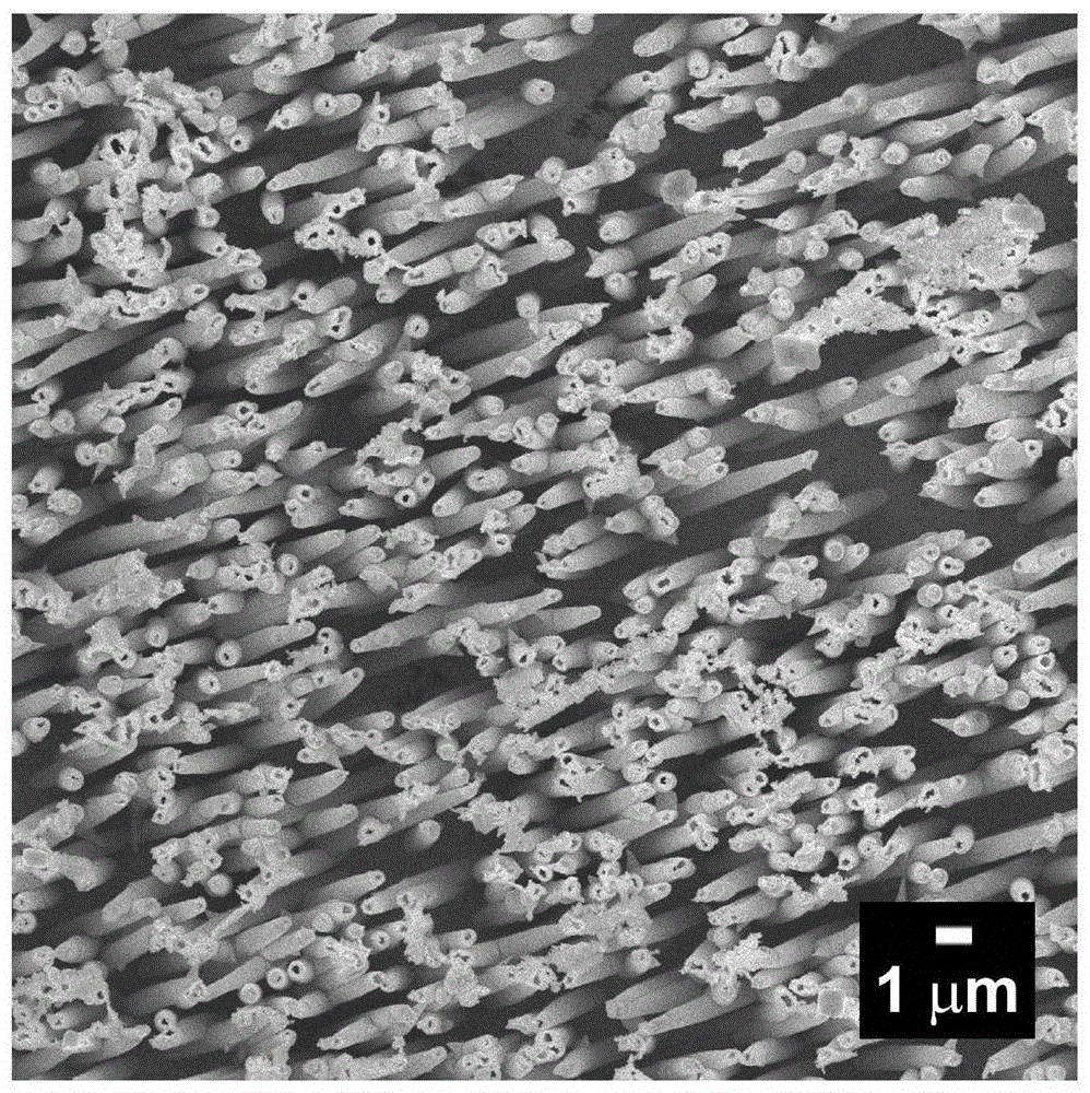 Three-dimensional ordered noble metal nanotube array electrode and its preparation method