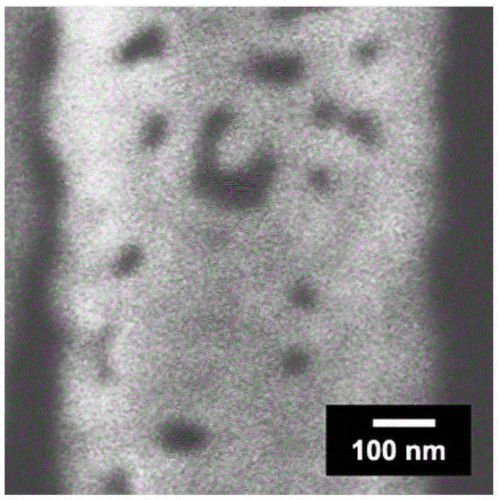 Three-dimensional ordered noble metal nanotube array electrode and its preparation method