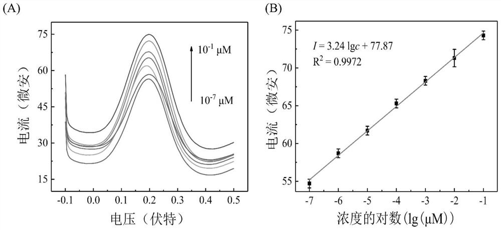 Preparation method and application of electrochemical biosensor for detecting NSCLC circulating tumor gene