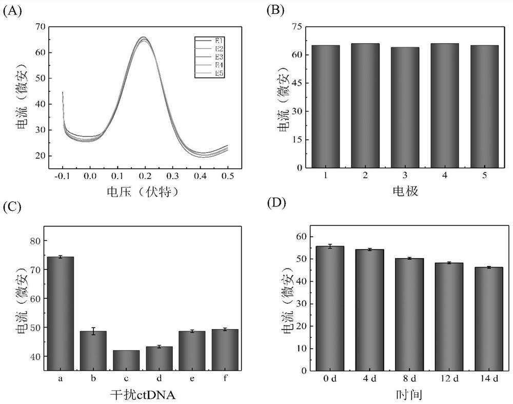 Preparation method and application of electrochemical biosensor for detecting NSCLC circulating tumor gene