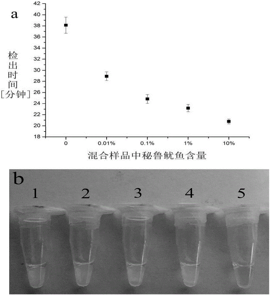 Method for identifying Peru squids and highly processed products thereof through loop-mediated isothermal amplification technique