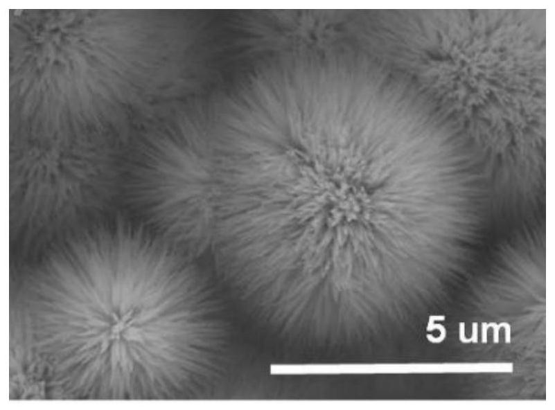 A sea urchin-like p-doped zrmo  <sub>2</sub> o  <sub>8</sub> Preparation method of nano catalyst