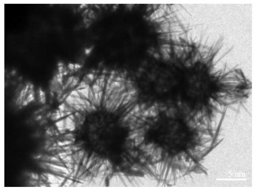 A sea urchin-like p-doped zrmo  <sub>2</sub> o  <sub>8</sub> Preparation method of nano catalyst