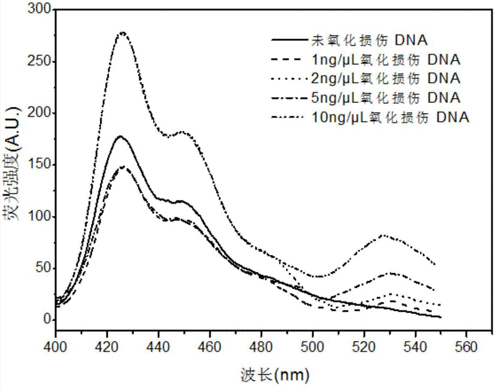 Oxidative damage DNA detection method