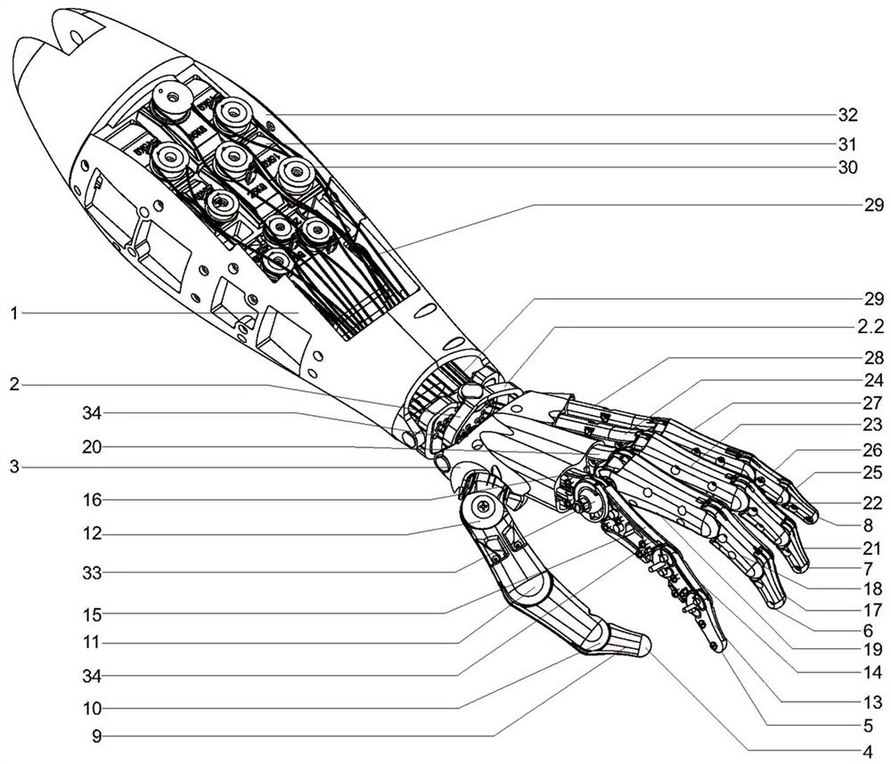 A bionic hand mechanism and a robot using the bionic hand mechanism