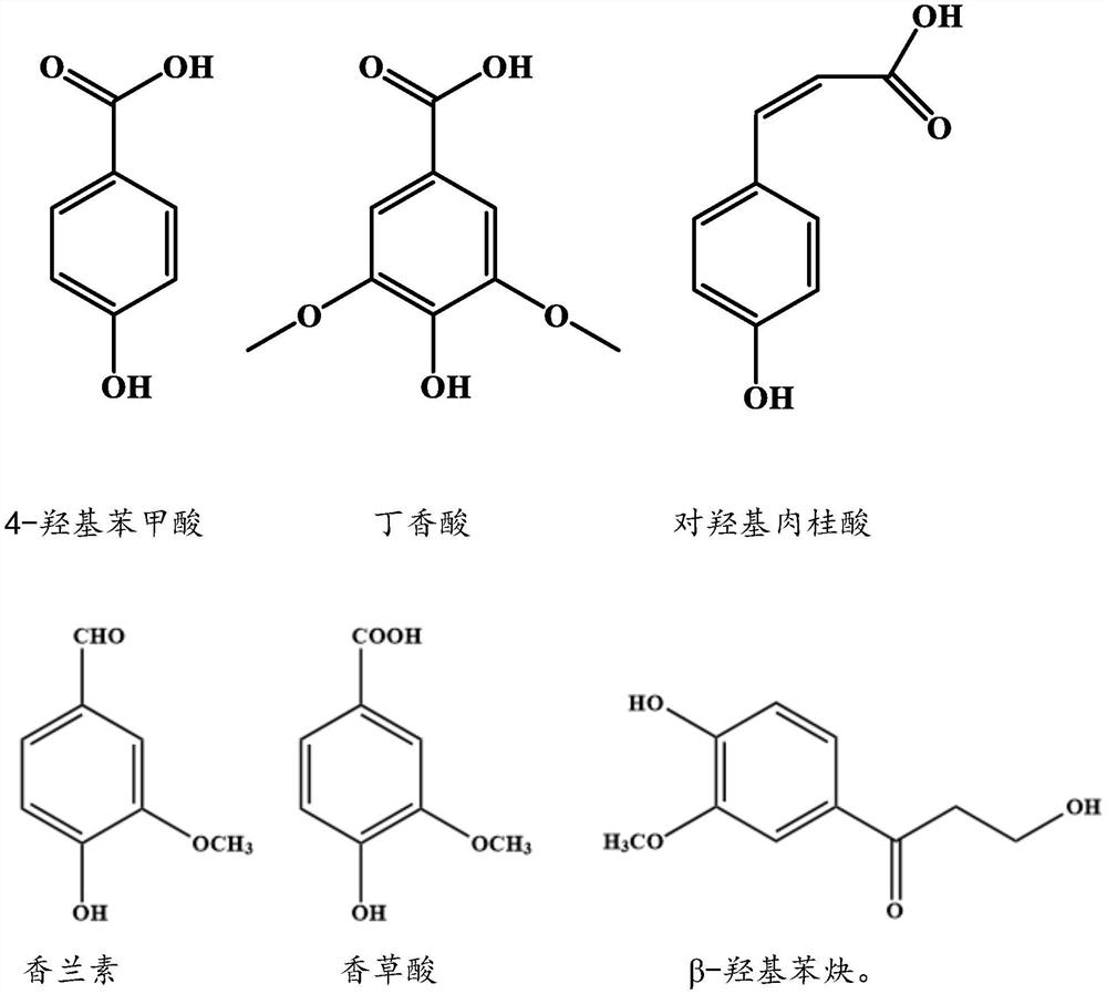 Extraction method of phenolic compounds in lepidium latifolium and phenolic compounds extracted by extraction method