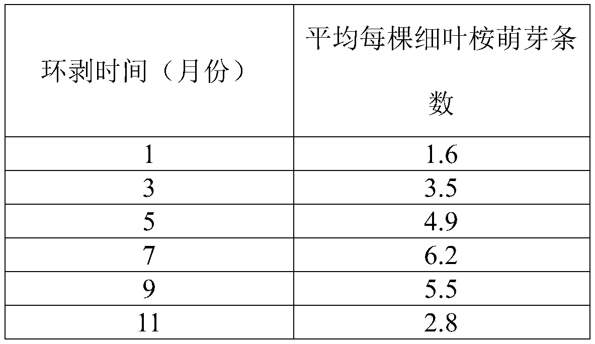 A method for improving the girdling germination rate of Eucalyptus spp.