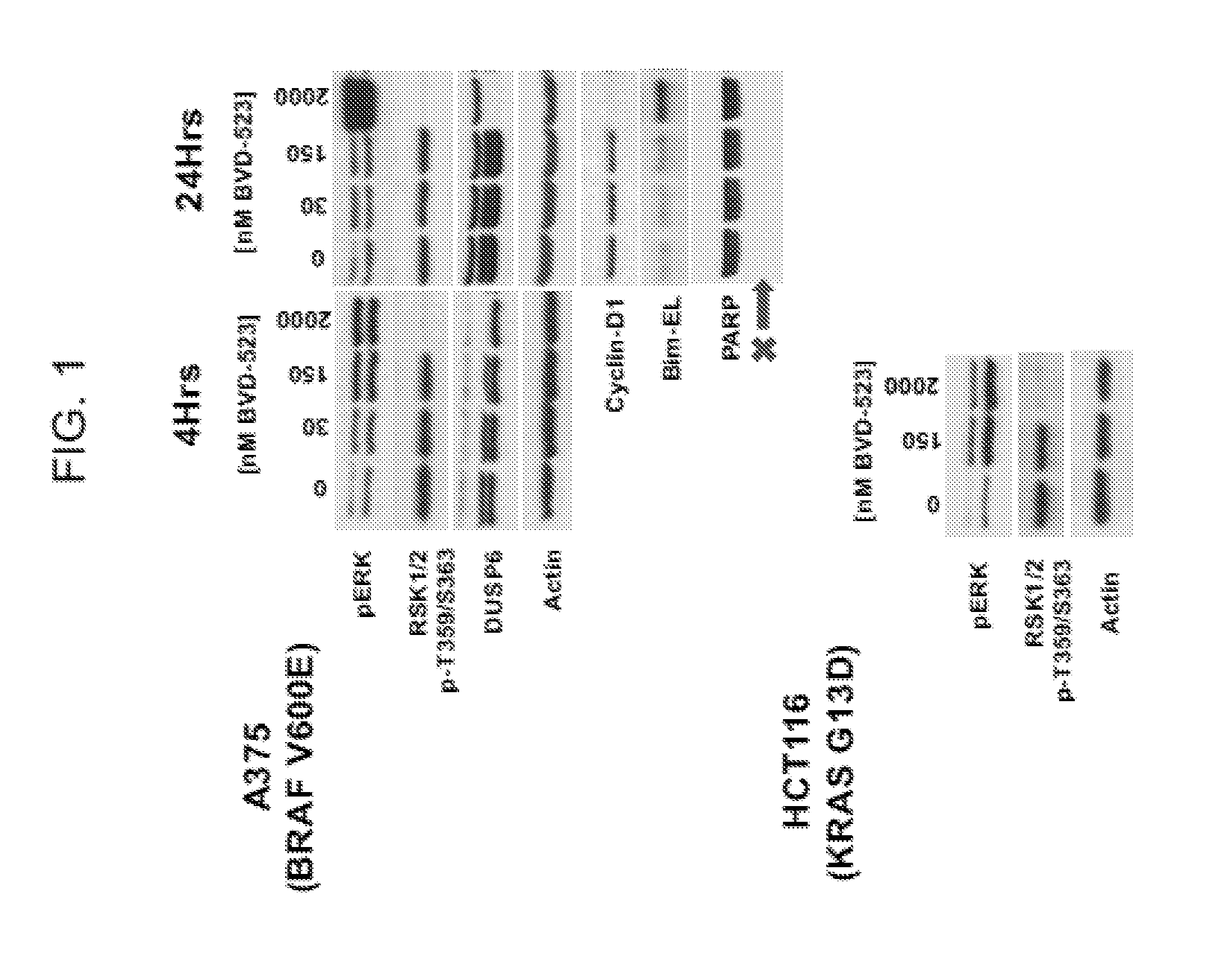 Cancer treatments using combinations of cdk and erk inhibitors