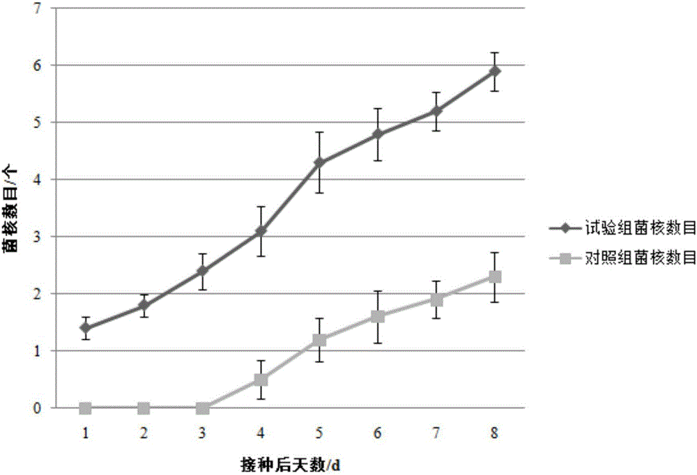 Method for promoting toadstool sclerotium formation efficiently