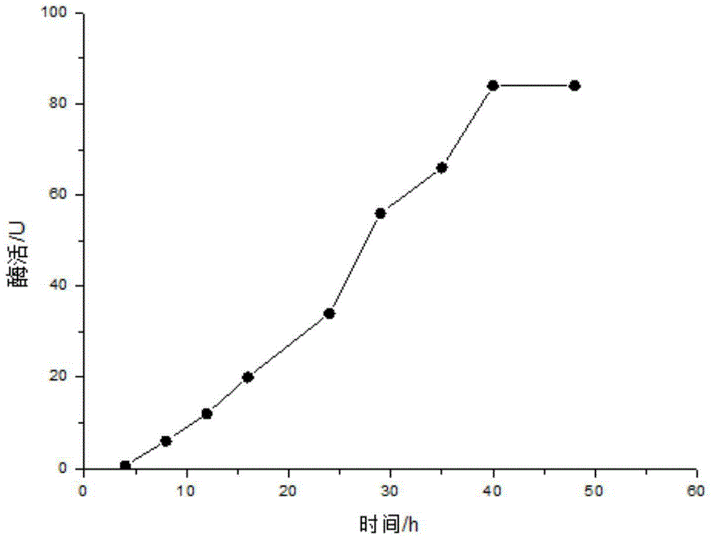 Strain for production of cyclodextrin glucosyltransferase and application of strain