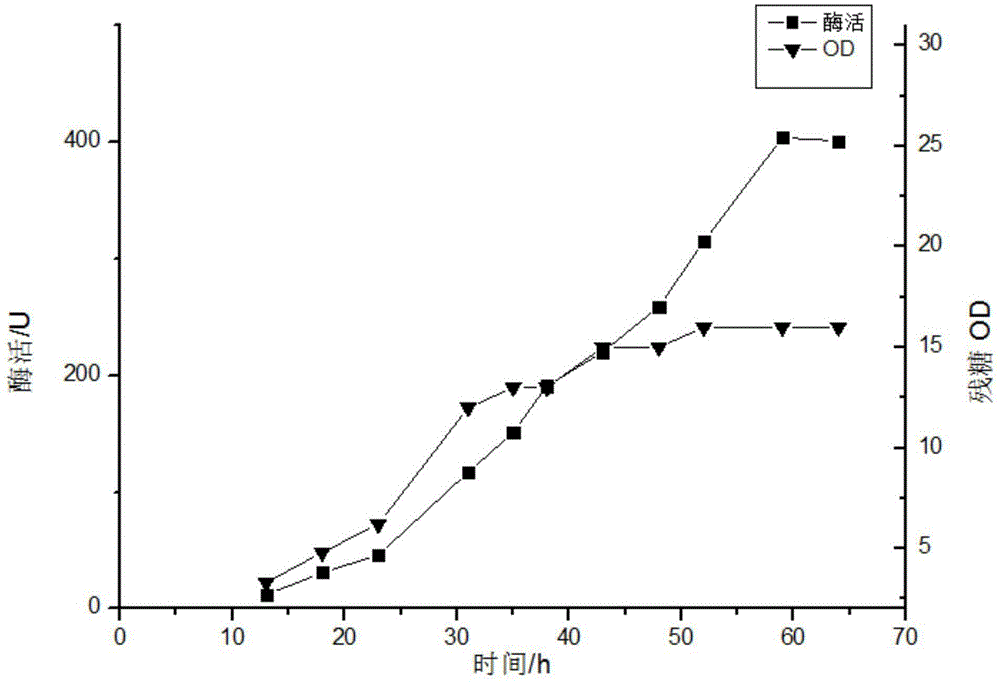 Strain for production of cyclodextrin glucosyltransferase and application of strain