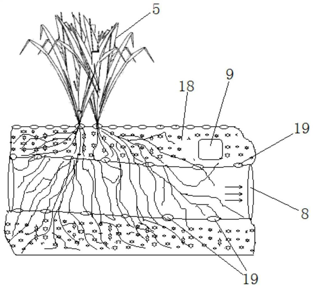 An air purification and environmental protection device