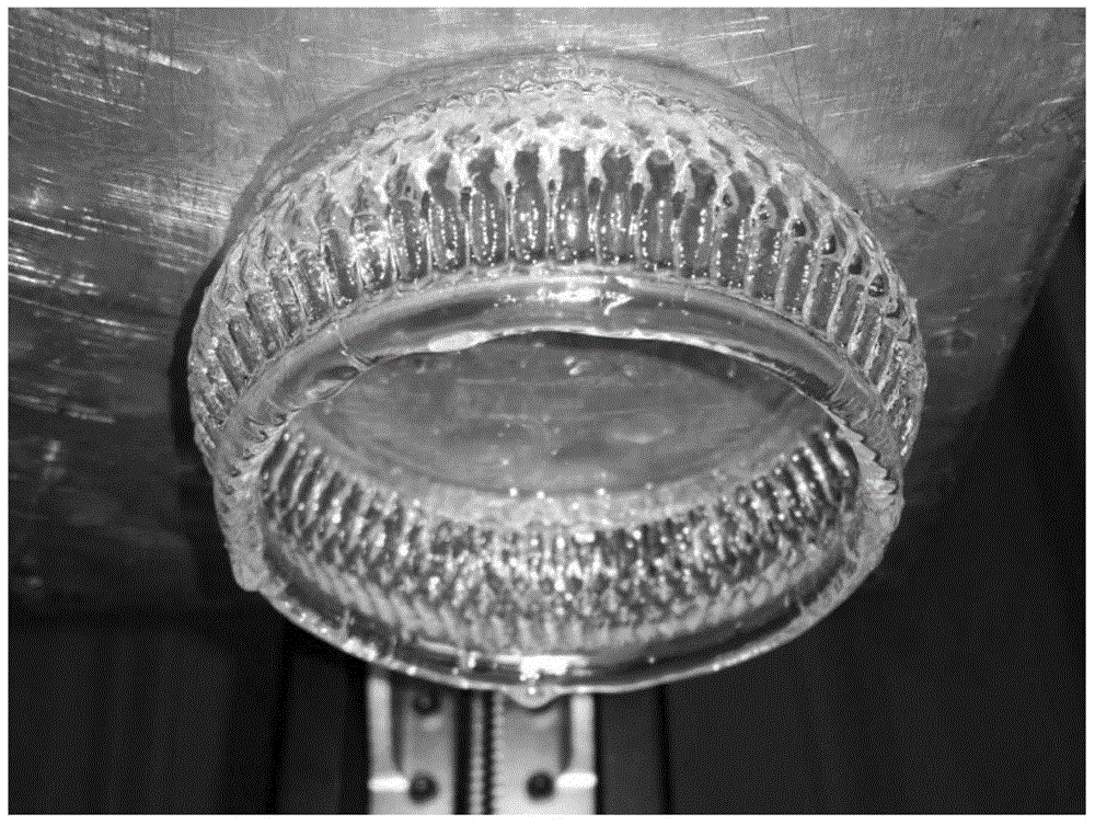 Photosensitive resin composition and application thereof in three-dimensional printing