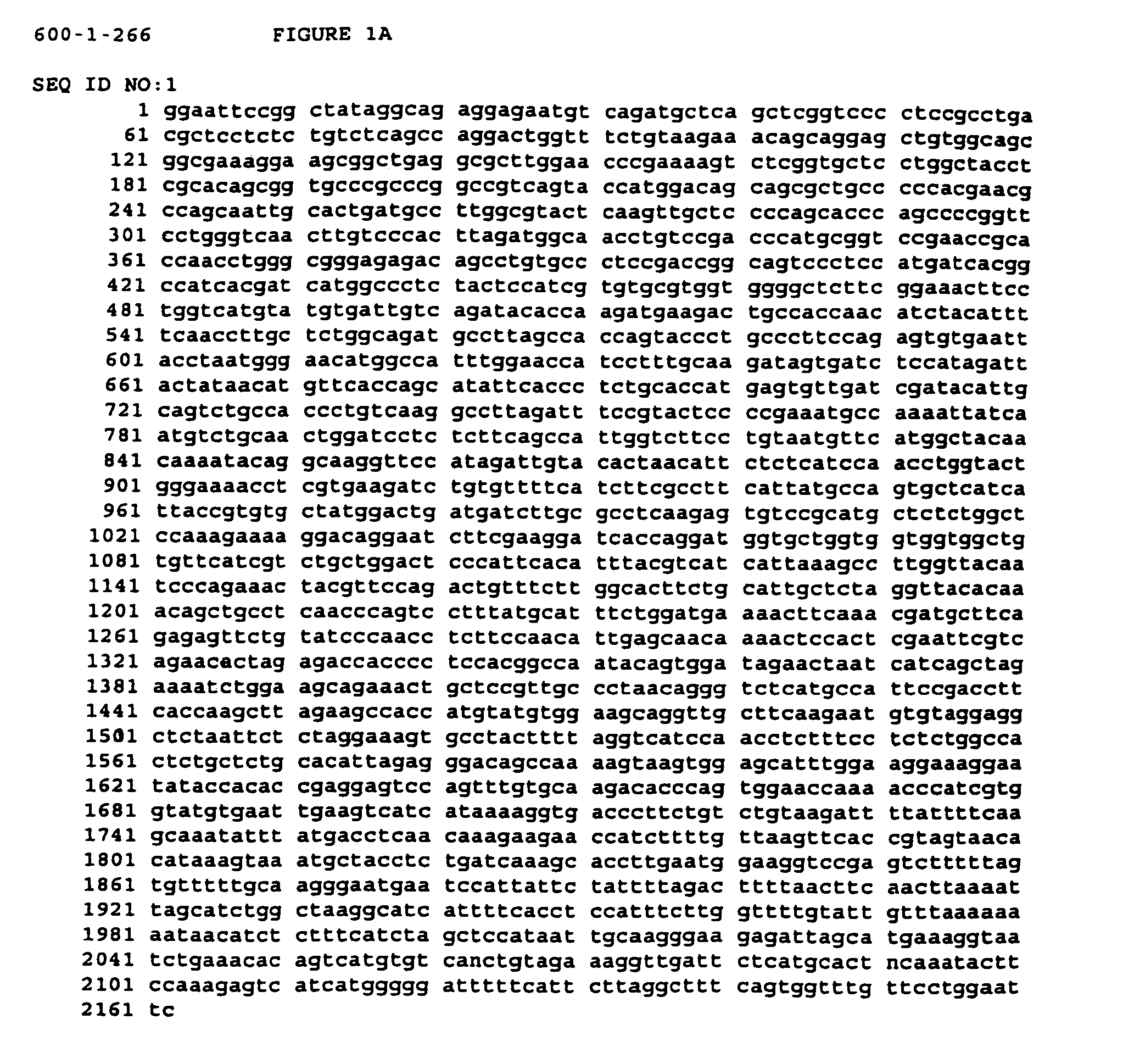 Alleles of the human mu opioid receptor, diagnostic methods using said alleles, and methods of treatment based thereon