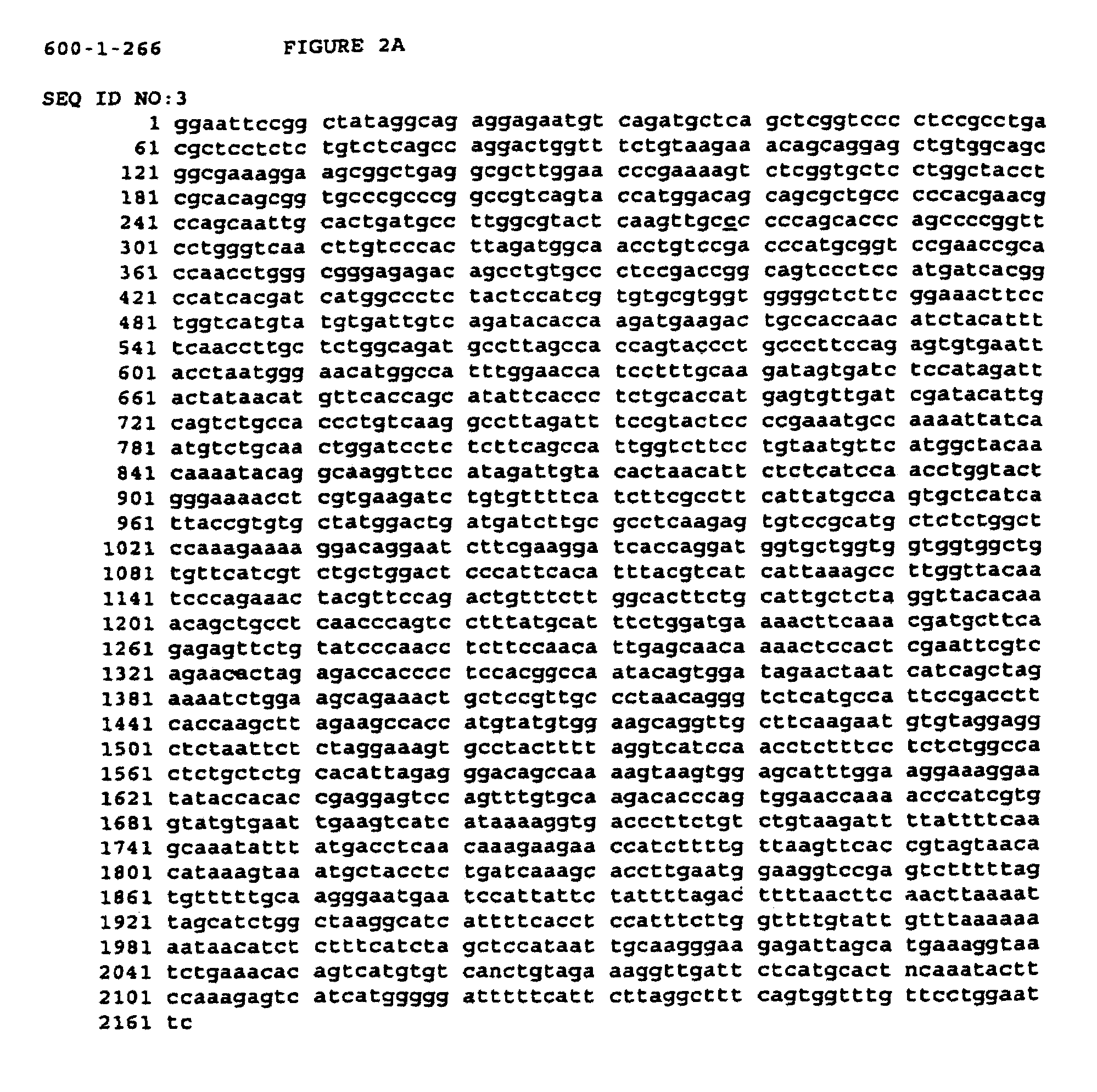 Alleles of the human mu opioid receptor, diagnostic methods using said alleles, and methods of treatment based thereon